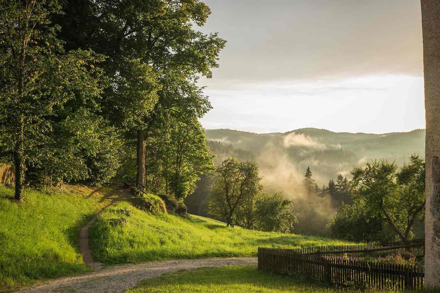 Hochzeitslocations in der Natur in Niederösterreich