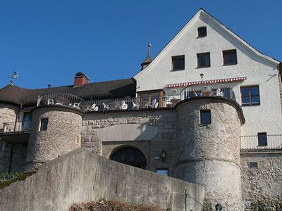 Burg Hohenbregenz