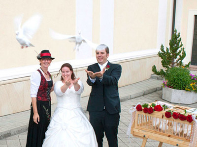 Hochzeitstauben Hausknecht für Wien, Niederösterreich, Burgenland