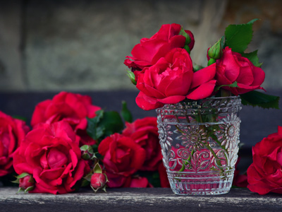 Hochzeitsblume Rose